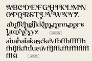 Yellow Club | Retro Serif, a Serif Font by ClevUs (Thumbnail 8 of 10)