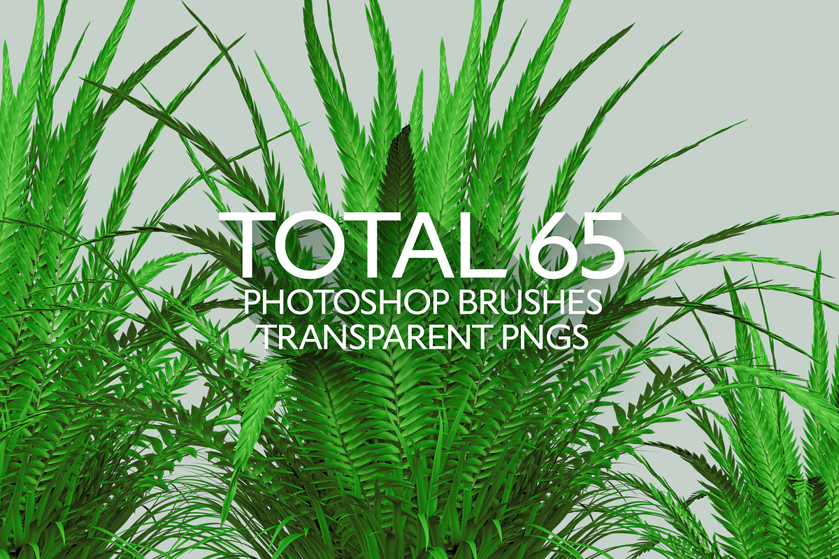 Various Grass Brushes for PS & PNGs, a Brush Add-On by Creative Graphics (Photo 5 of 5)