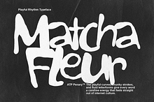 Penary - Bold Playful Font
