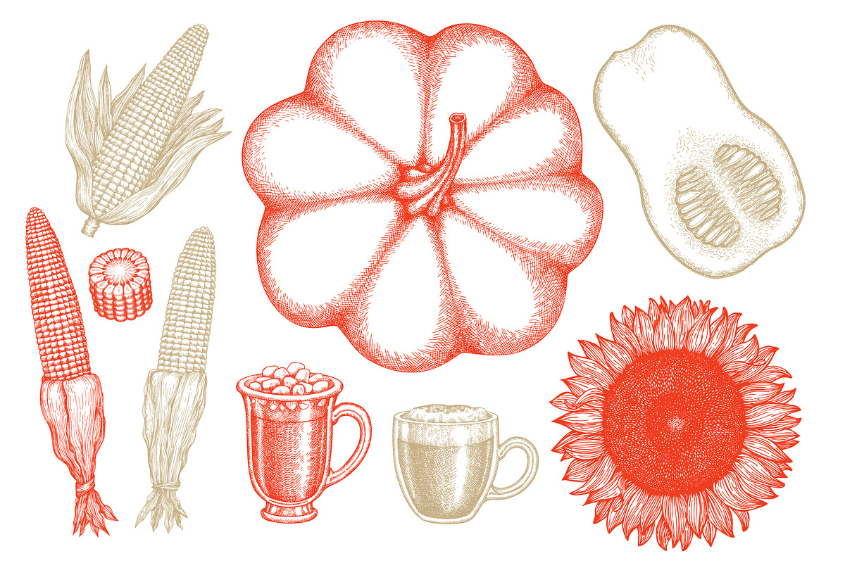 Autumn Season Illustrations, a Seasonal Illustration by Lubov Illustrations Shop (Photo 2 of 6)