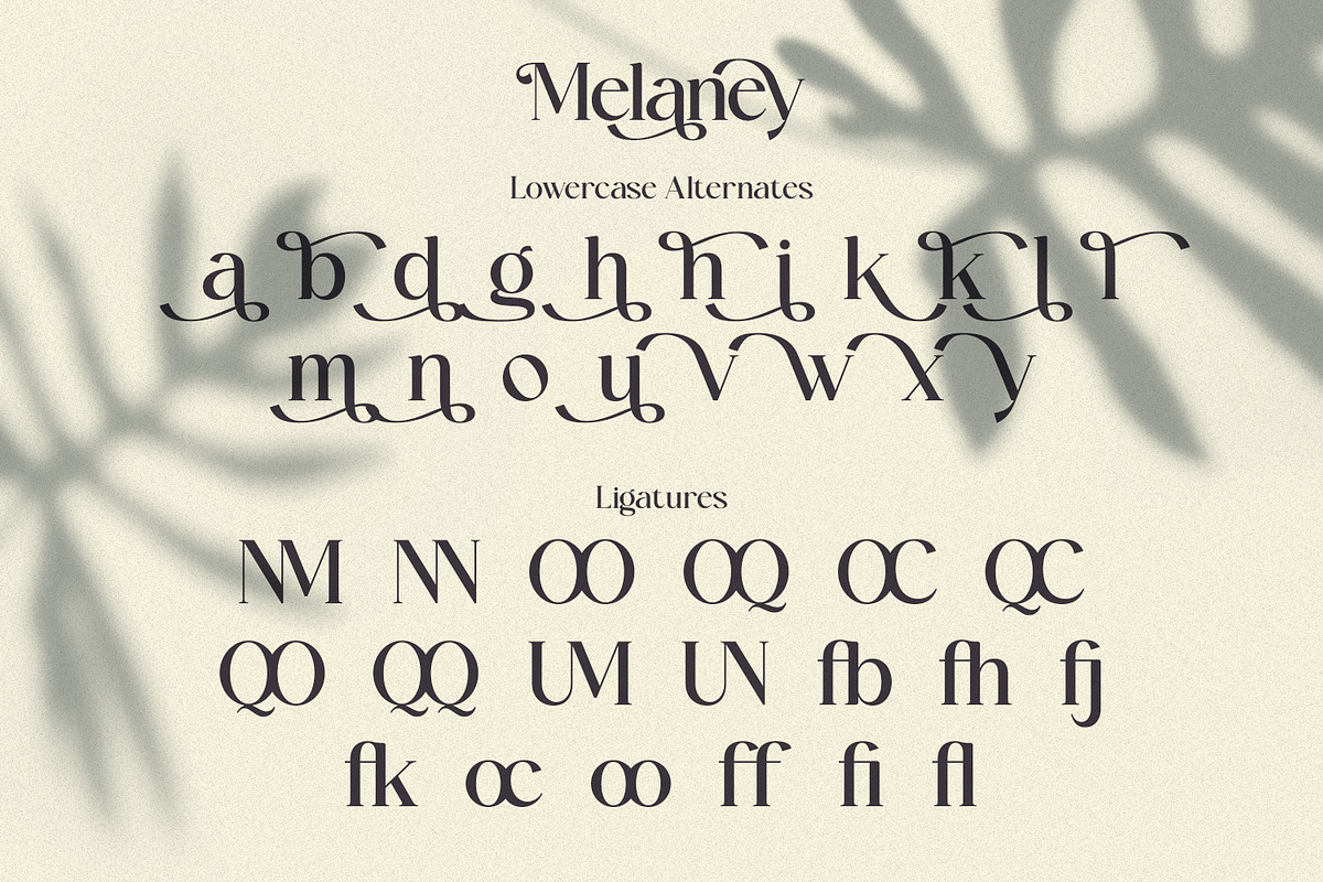 Melaney - Aesthetic Branding Serif, a Serif Font by Variatype (Photo 10 of 10)