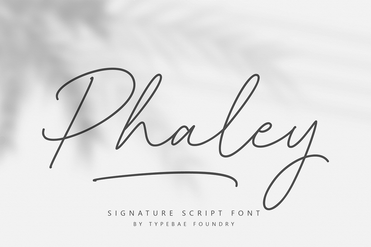Phaley Signature Script Font, a Script Font by Typebae (Photo 1 of 8)