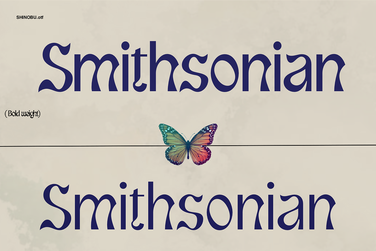 Shinobu - Elegant Psychedelic Font, a Font by Lurinzu Studios (Photo 5 of 10)