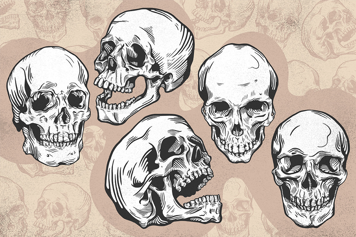 Skulls, an Illustration by melissadn (Photo 2 of 4)