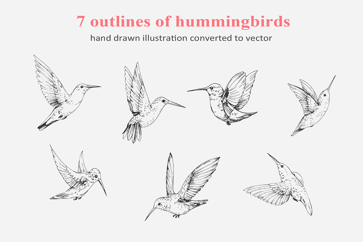 Hummingbird outline, a Decorative Illustration by Aksol (Photo 2 of 4)