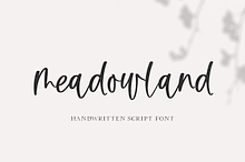 Meadowland | Modern Script Font