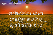 Switzerland, a Script Font by Funtype (Thumbnail 11 of 14)