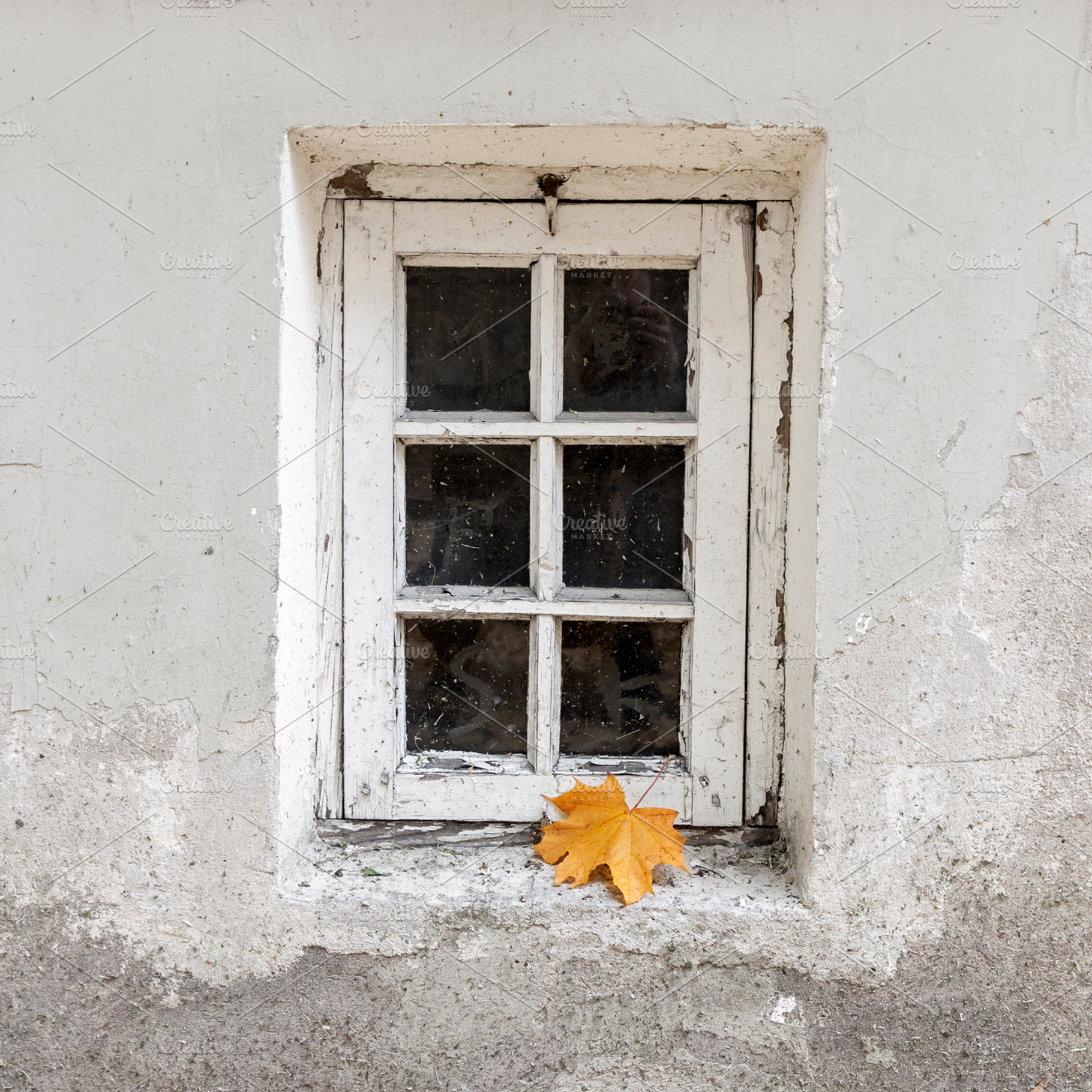 Window and lonely maple leaf, a Nature Photo by BOOCYS