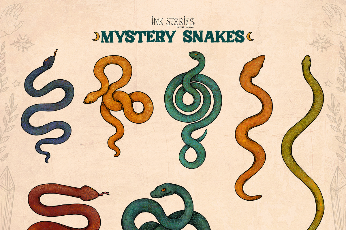 Mystery Snakes, an Animal Illustration by Ink Stories (Photo 8 of 31)