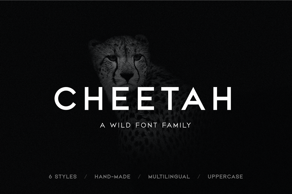 CHEETAH - Sans Serif / Display, a Sans Serif Font by Uniko Studio (Photo 1 of 10)