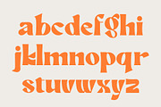 Quiny Groovy Font, a Serif Font by Rasgood (Thumbnail 5 of 7)