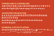 Raspberie - Retro Modern Font, a Serif Font by Variatype (Thumbnail 14 of 15)