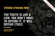 Prodiga Font Display, a Font by RMPL.std (Thumbnail 2 of 4)