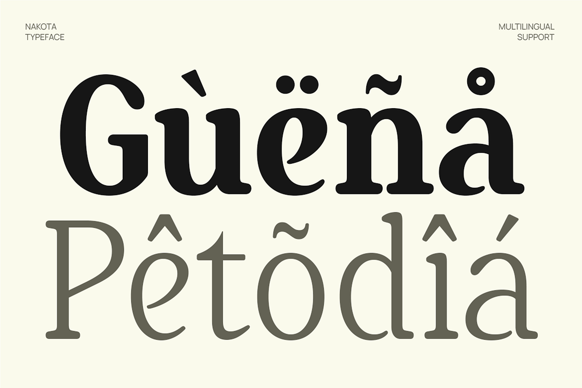 Nakota - Modern Clean Serif Font, a Serif Font by Pekotype (Photo 5 of 15)