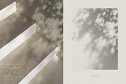 Dappled - Botanical Shadow Overlays, a Texture Graphic by alonahaidash (Thumbnail 7 of 16)