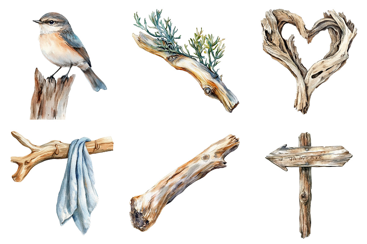 Driftwood & Coastal Decor Clipart, an Illustration by Pixels.Craft (Photo 5 of 8)