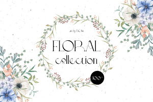 -20% Intro Floral COLLECTION