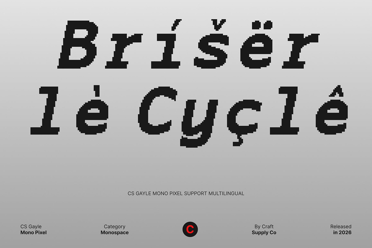 CS Gayle Mono Pixel, a Sans Serif Font by Craft Supply Co. (Photo 6 of 8)