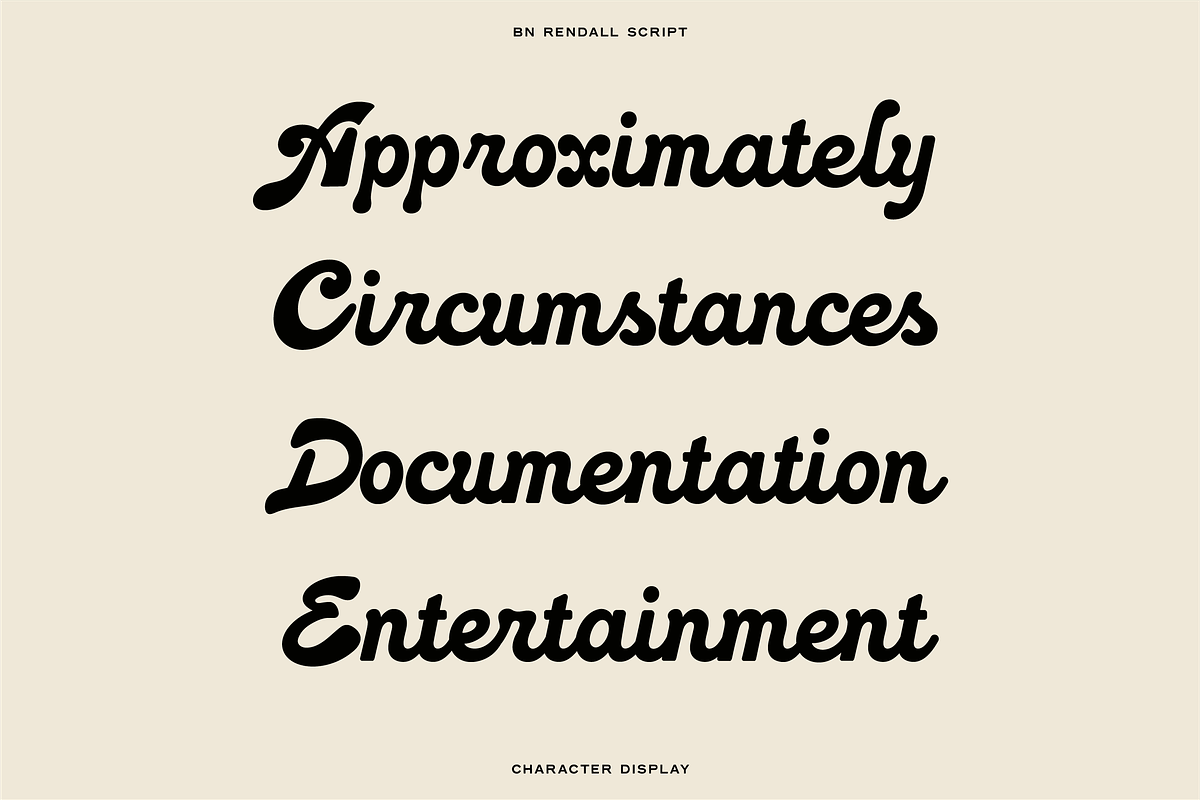 The Diverse Font Bundle, a Sans Serif Font by Bnick (Photo 19 of 34)
