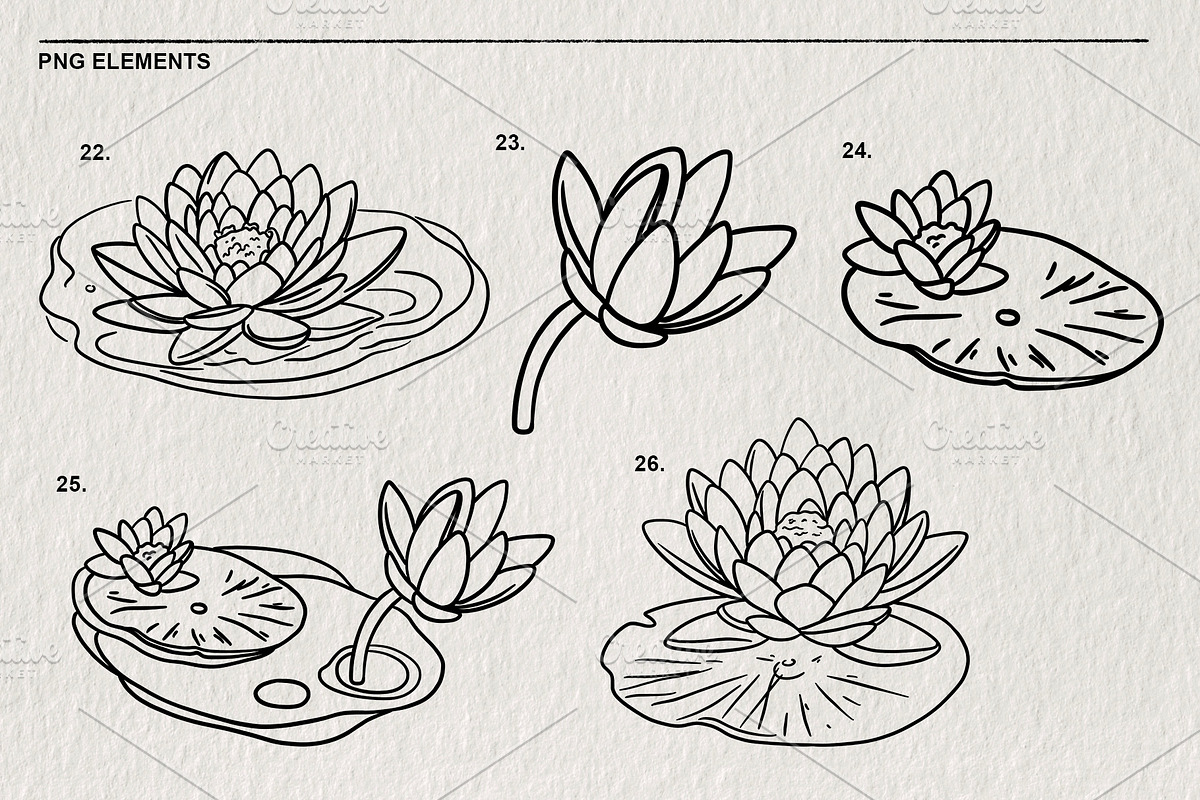 Set of water lilies and flowers PNG, a Decorative Illustration by LOKSKIH (Photo 7 of 10)