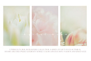 Hazy Botanical Vellum Backgrounds, a Graphic by DigitalDream (Thumbnail 7 of 9)