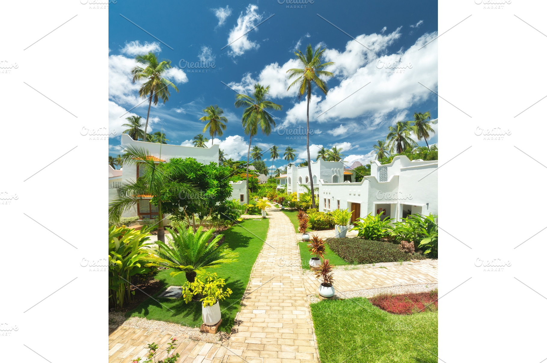 Aerial view of tropical resort with, a Nature Photo by den-belitsky