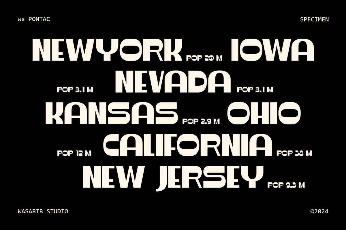 WS Pontac, a Sans Serif Font by Wasabib Studio (Photo 3 of 8)