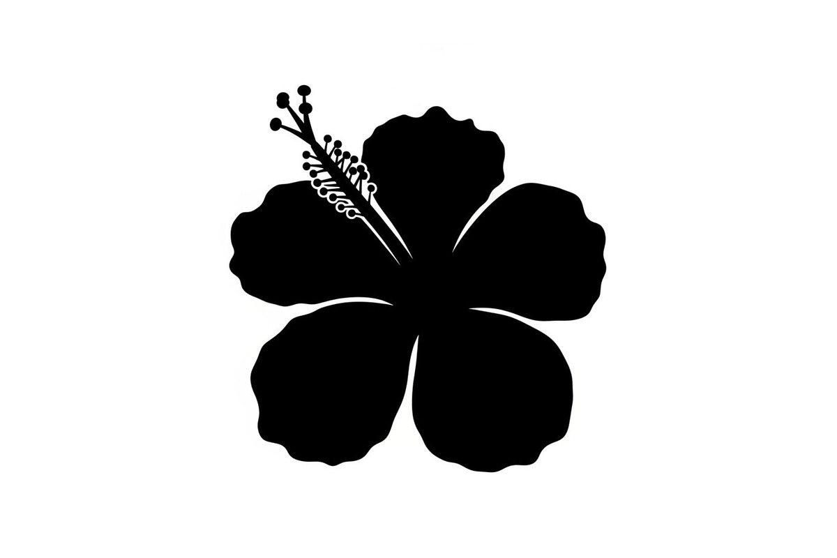 Floral Ornament Silhouette Bundle, an Illustration by BIPLOB EXPERT (Photo 13 of 51)