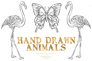 Hand Drawn Animals Illustrations