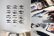 Dolphins - watercolor set, an Animal Illustration by KatBranchArt (Thumbnail 4 of 4)