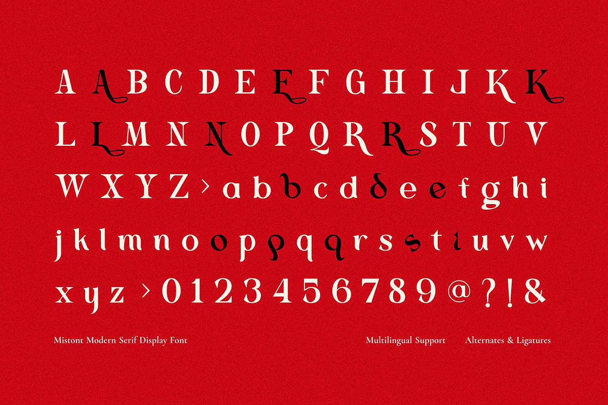 Mistont - Beautiful Serif Font, a Serif Font by Imoodev (Photo 5 of 5)