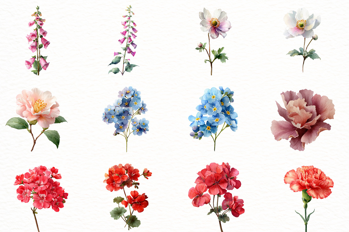 Watercolor Garden flower Clipart, an Illustration by Designworld (Photo 2 of 4)