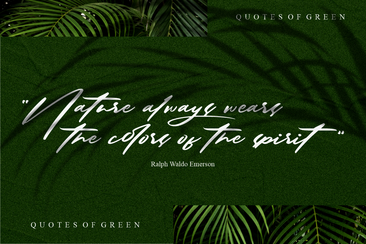 Solustion Bold Signature, a Script Font by Glyphstyle (Photo 5 of 11)