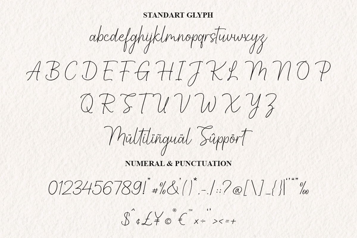 Softella Seraphine, a Script Font by Barra & Beryl Co. (Photo 8 of 11)