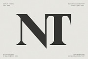 Aporla - Elegant Slab Serif, a Slab Serif Font by Baleee (Thumbnail 8 of 18)