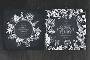 10 Most Poisonous Plants. Vector set, a Healthcare Illustration by Yevheniia (Thumbnail 5 of 8)