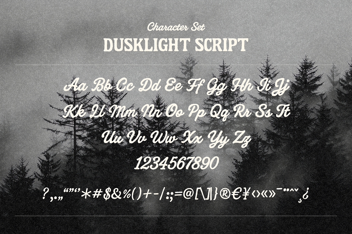 Dusklight Script – A Forest-Inspired, a Script Font by Creacy Studio (Photo 8 of 8)