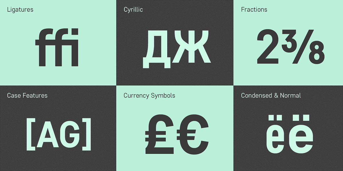 Core Sans D, a Sans Serif Font by S-Core (Photo 5 of 6)
