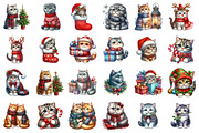 Christmas Scottish Cat Clipart PNG, an Illustration by SinaCreation (Thumbnail 2 of 7)