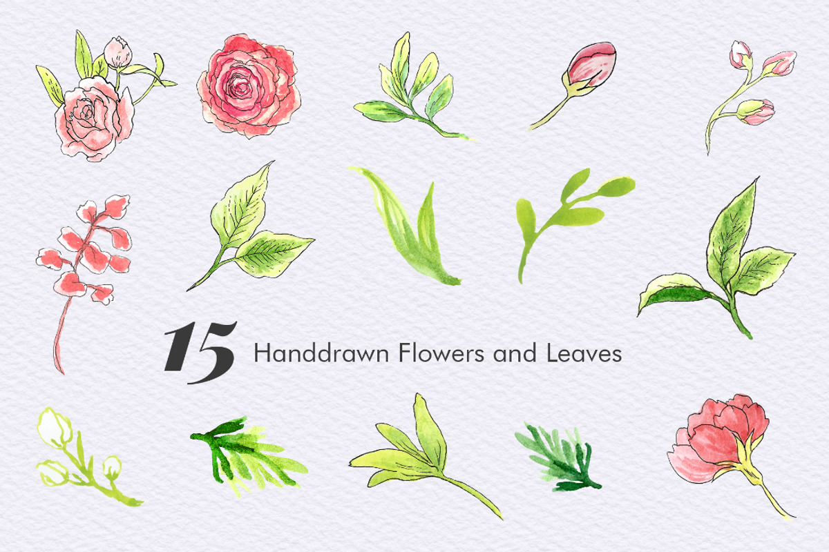 For The Rose - Handdrawn Flowers, an Illustration by clairedelune (Photo 2 of 6)