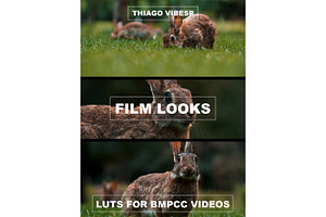 Film LUTs For BMPCC Videos