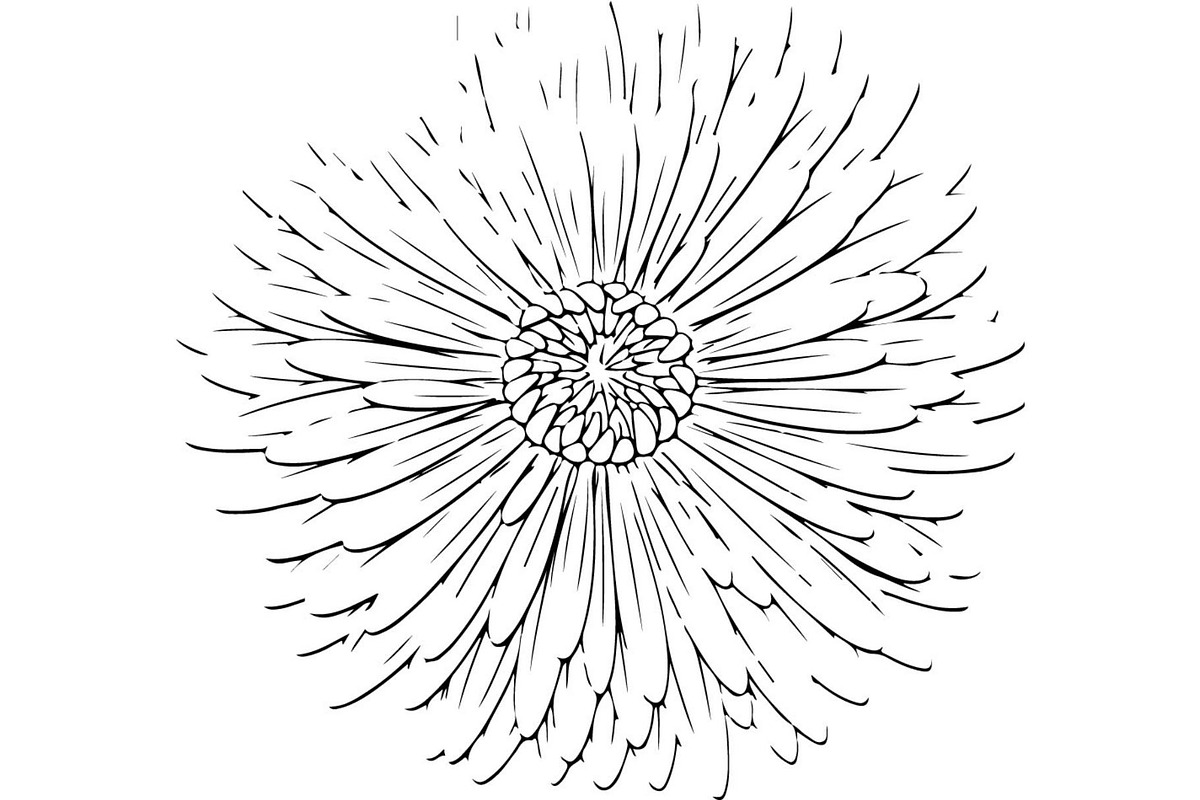 Decorative Floral Mandala Rose Butte, an Object Illustration by Designer_Momina (Photo 20 of 21)