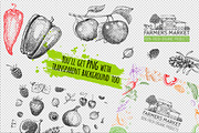 Hand drawn vegetables and fruit, a Decorative Illustration by Ulafant (Thumbnail 13 of 25)