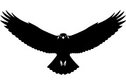 Forest Sky Birds Illustration Vector, an Animal Illustration by Designer_Momina (Thumbnail 15 of 21)