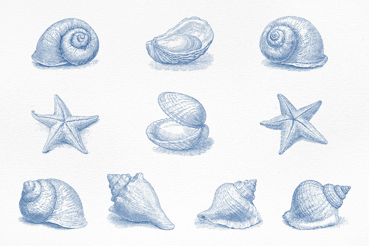 Vintage Marine Life Illustration Set, an Animal Illustration by NatalieArtShop (Photo 10 of 20)
