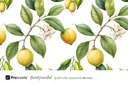 Watercolor Lemons Clipart & Pattern, an Object Graphic by crafty (Thumbnail 11 of 15)