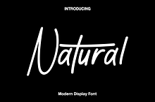 Natural - Modern Display Font