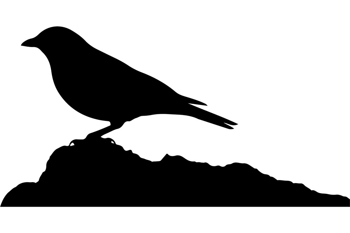 Forest Sky Birds Illustration Vector, an Animal Illustration by Designer_Momina (Photo 16 of 21)