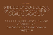 Amethys Mistralit Modern Display, a Serif Font by Letterena Studios (Thumbnail 14 of 15)