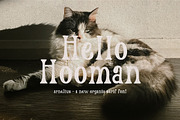 Arnelius Serif Font, a Serif Font by etigletters (Thumbnail 6 of 9)